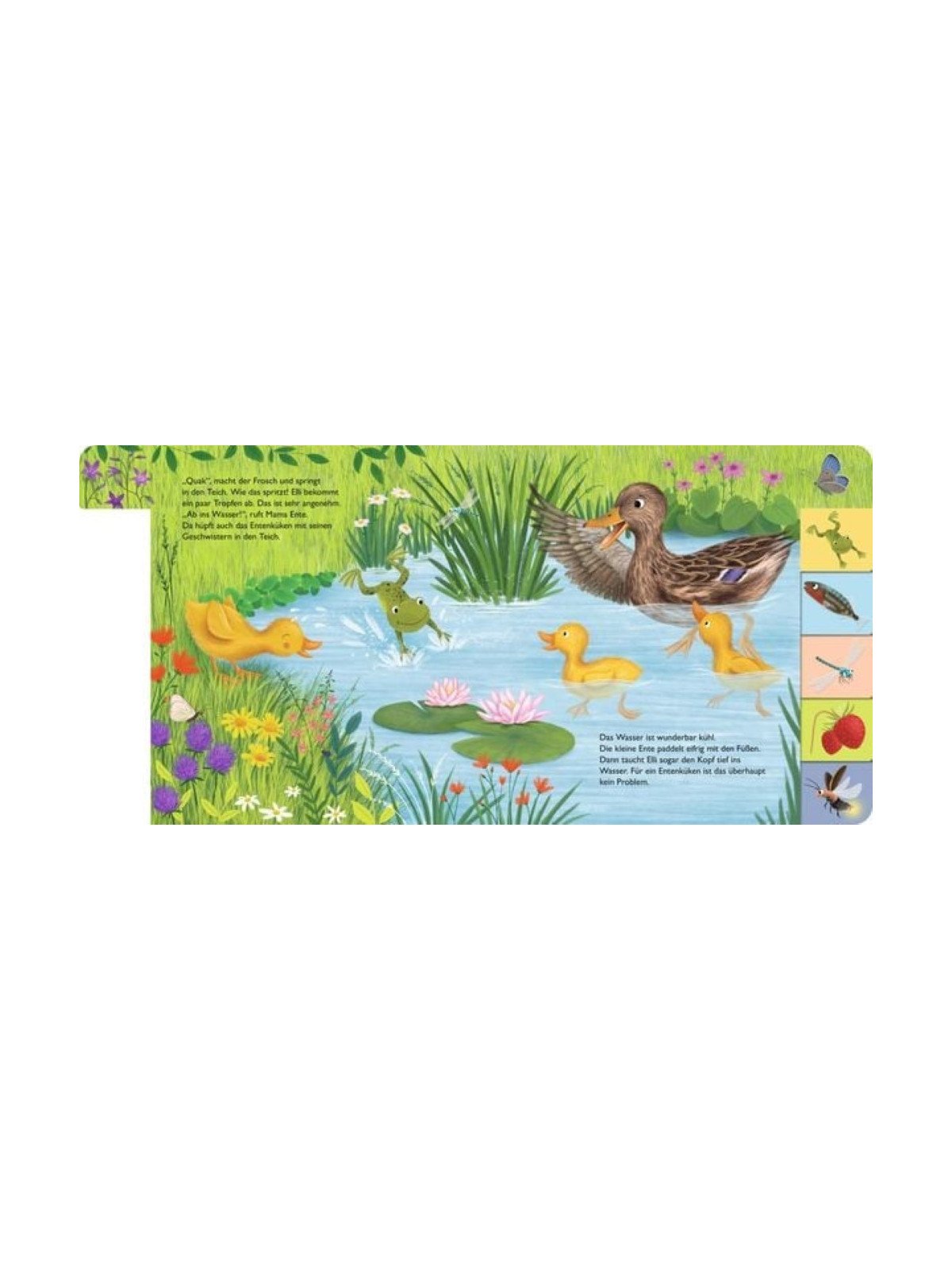 Anja Kiel - Pappbilderbuch "Mein erstes Jahreszeitenbuch: Elli, die kleine Ente - im Sommer"