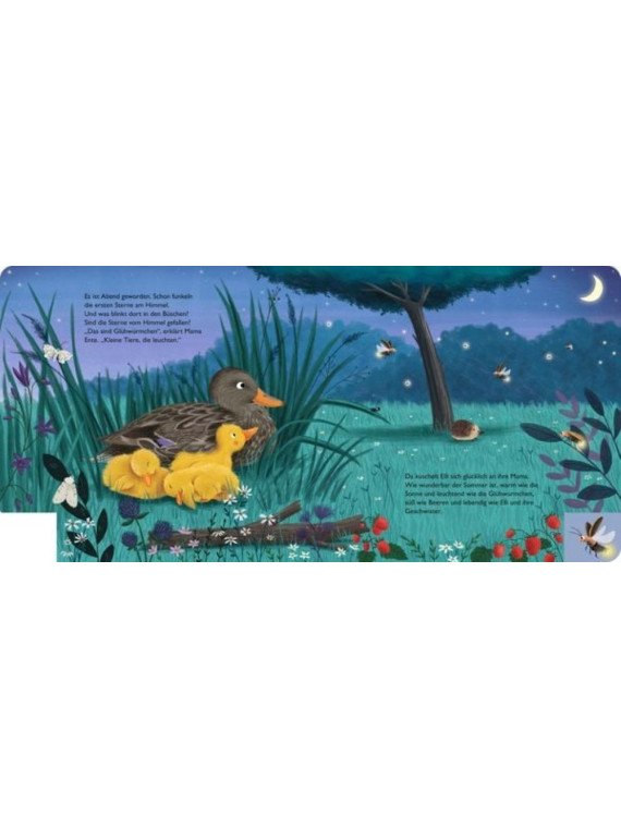 Anja Kiel - Pappbilderbuch "Mein erstes Jahreszeitenbuch: Elli, die kleine Ente - im Sommer"