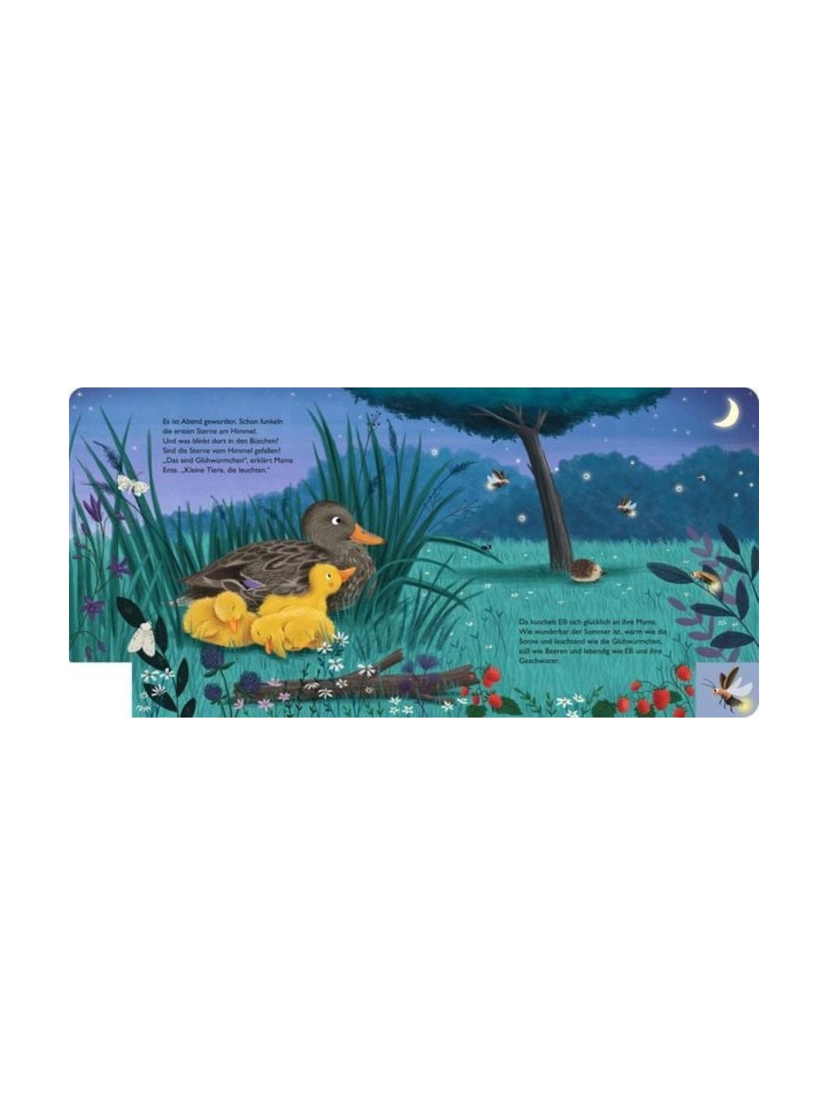Anja Kiel - Pappbilderbuch "Mein erstes Jahreszeitenbuch: Elli, die kleine Ente - im Sommer"