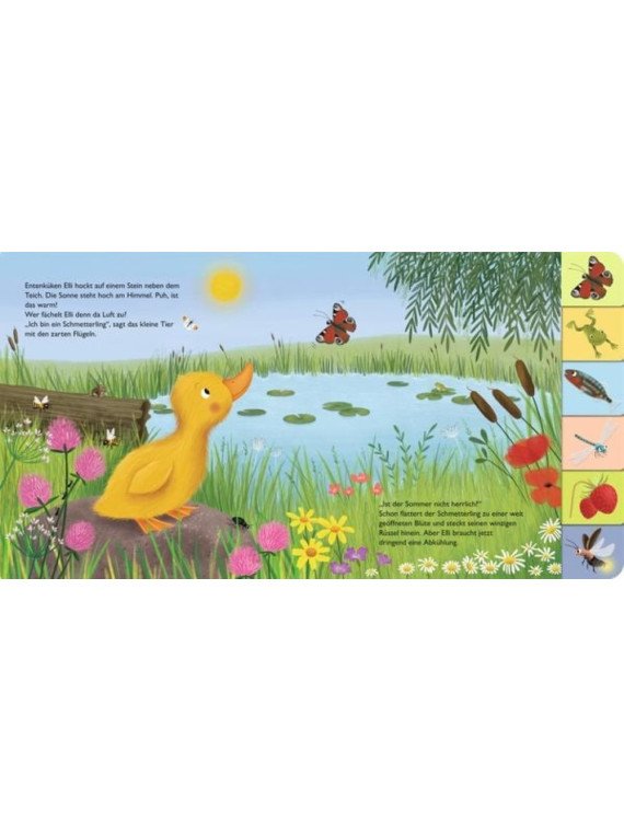 Anja Kiel - Pappbilderbuch "Mein erstes Jahreszeitenbuch: Elli, die kleine Ente - im Sommer"