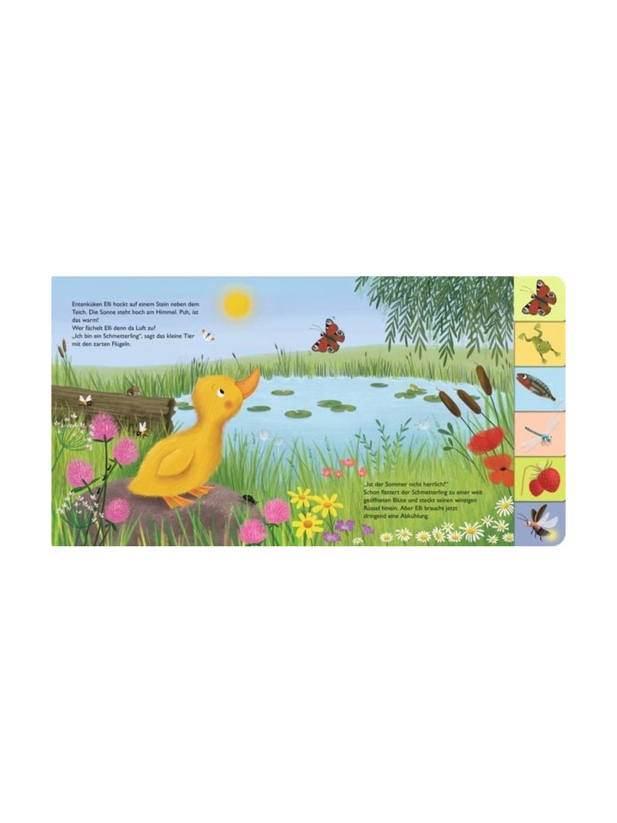 Anja Kiel - Pappbilderbuch "Mein erstes Jahreszeitenbuch: Elli, die kleine Ente - im Sommer"