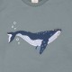 Walkiddy - Bio Kinder Sweatshirt mit Wal-Stickerei