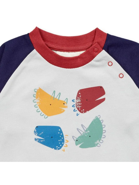 Sense Organics - Bio Baby Sweatshirt "Buda" mit Dinosaurier-Druck