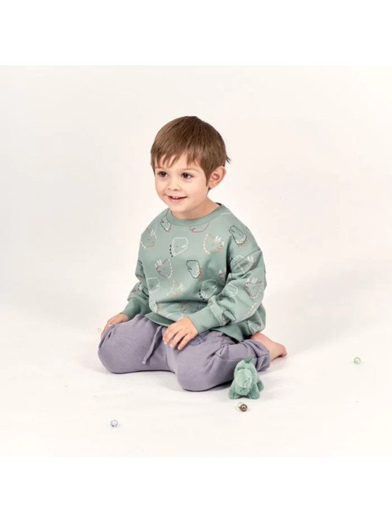 Sense Organics - Bio Kinder Sweatshirt "DARI" mit Dinosaurier-Allover