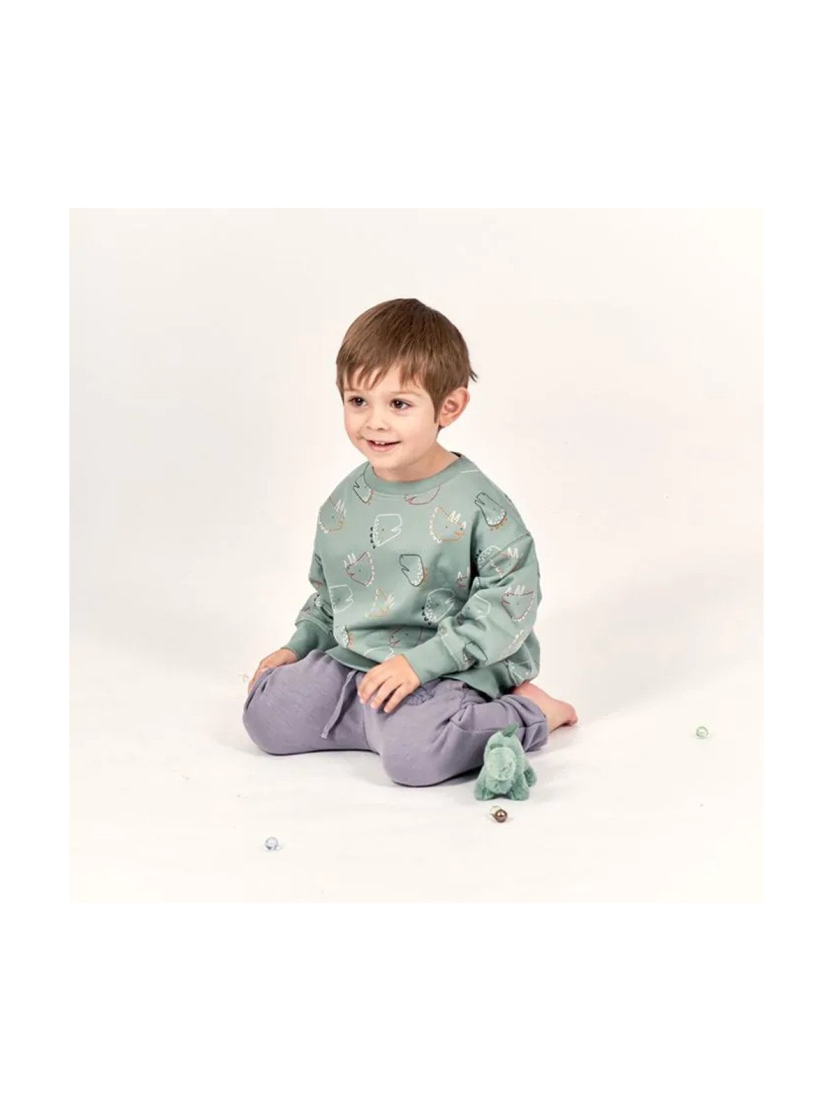 Sense Organics - Bio Kinder Sweatshirt "DARI" mit Dinosaurier-Allover