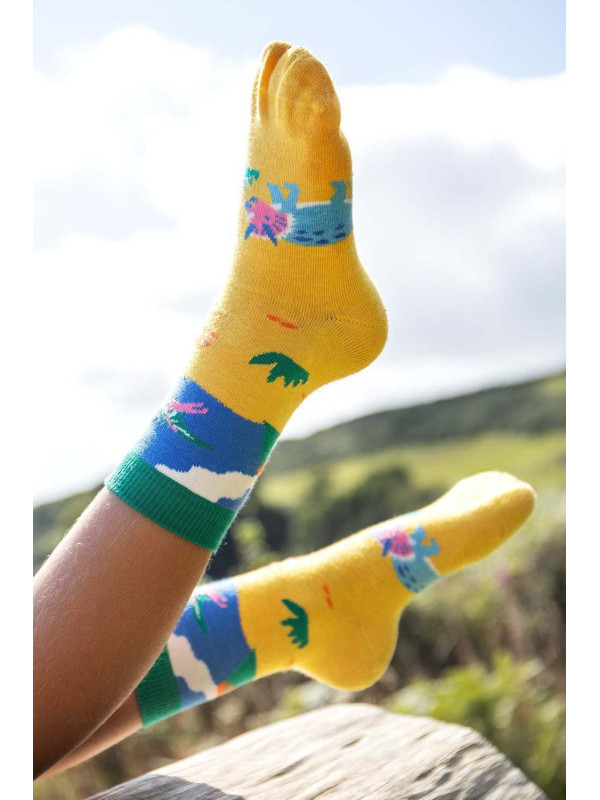 frugi - Bio Kinder Strümpfe 3er-Pack "Rock my Socks" mit Streifen und Dinosauriern