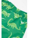 frugi - Kinder Regenhose "Rain or Shine" mit Dinosaurier-Allover