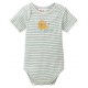 People Wear Organic - Bio Baby Body kurzarm mit Löwen-Druck und Streifen, mint