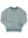 kite kids - Bio Kinder Sweatshirt mit Dinosaurier-Applikation und Streifen