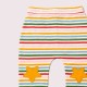 Little Green Radicals - Bio Kinder Jersey Hose mit Streifen und Sternen-Patches