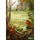 Sabine Bohlmann, Simona Ceccarelli - Buch "Ein Mädchen namens Willow 1: Ein Mädchen namens Willow"