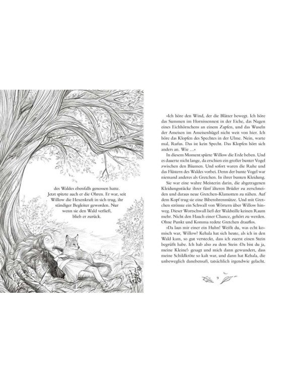 Sabine Bohlmann, Simona Ceccarelli - Buch "Ein Mädchen namens Willow 1: Ein Mädchen namens Willow"