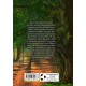Sabine Bohlmann, Simona Ceccarelli - Buch "Ein Mädchen namens Willow 3: Flügelrauschen"