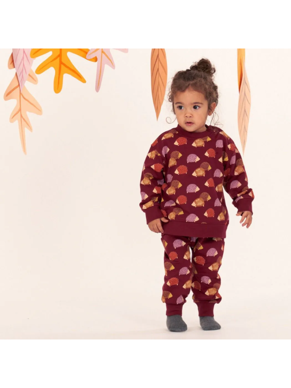 Sense Organics - Bio Baby Sweat Hose "SENSE-Nevin" mit Igel-Allover