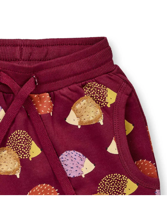 Sense Organics - Bio Baby Sweat Hose "SENSE-Nevin" mit Igel-Allover