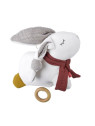 Kikadu - Bio kleine Spieluhr Lama"Brahms Wiegenlied", 20cm