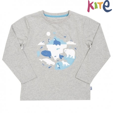 kite kids - Bio Kinder Langarmshirt mit Polarwelt-Druck