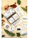 Brigitte Baldrian -Memo-Spiel "Im Naturgarten"